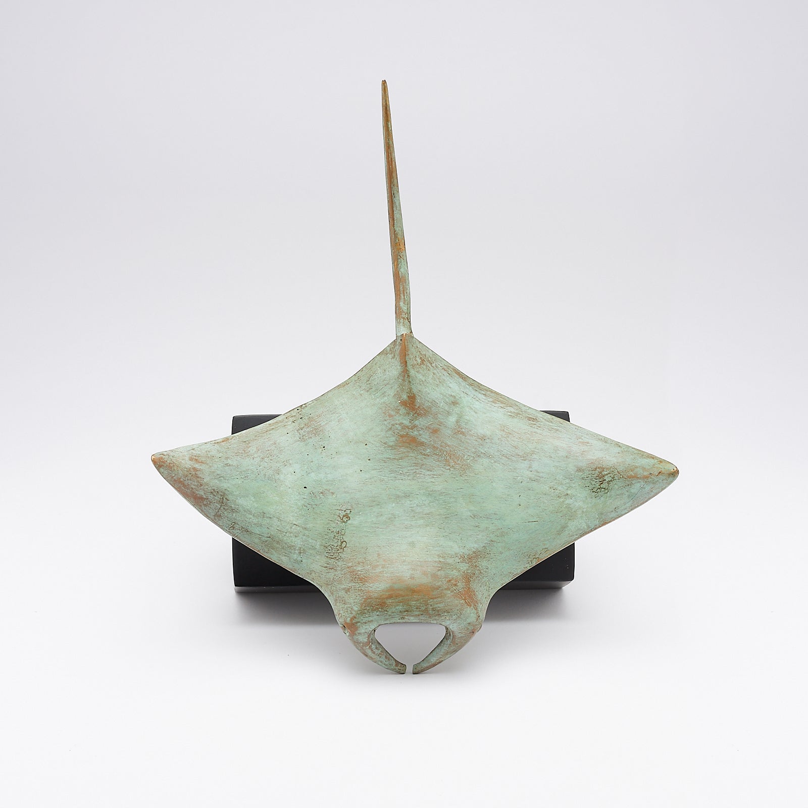 Manta Ray Patinated Bronze  - Medium