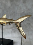 Great White Shart Polished Bronze on Stand