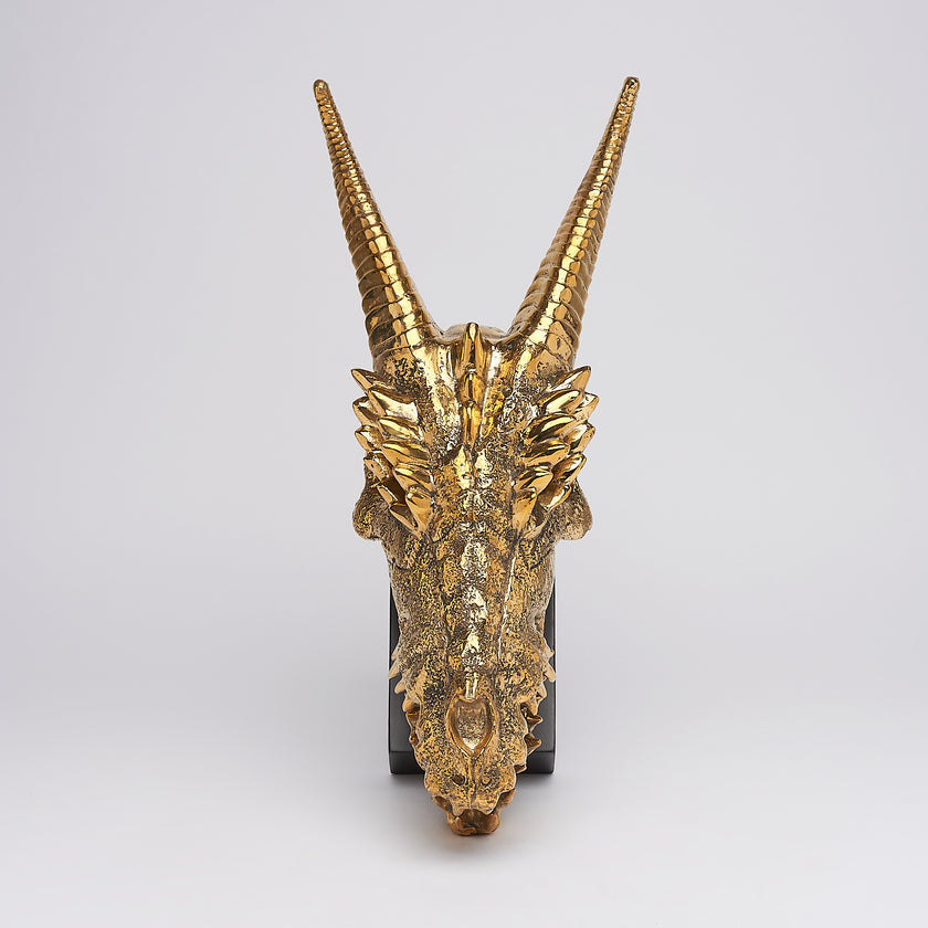 Dragon Skull Polished Bronze - Large