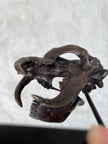 Saber Tooth TIger Bronze Small