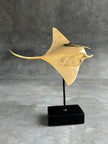 Mantaray on a stand Polished Bronze