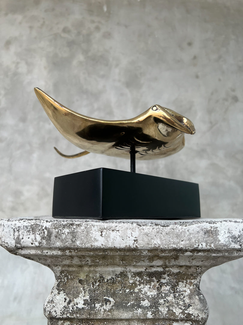 Manta Ray Polished - Medium Large