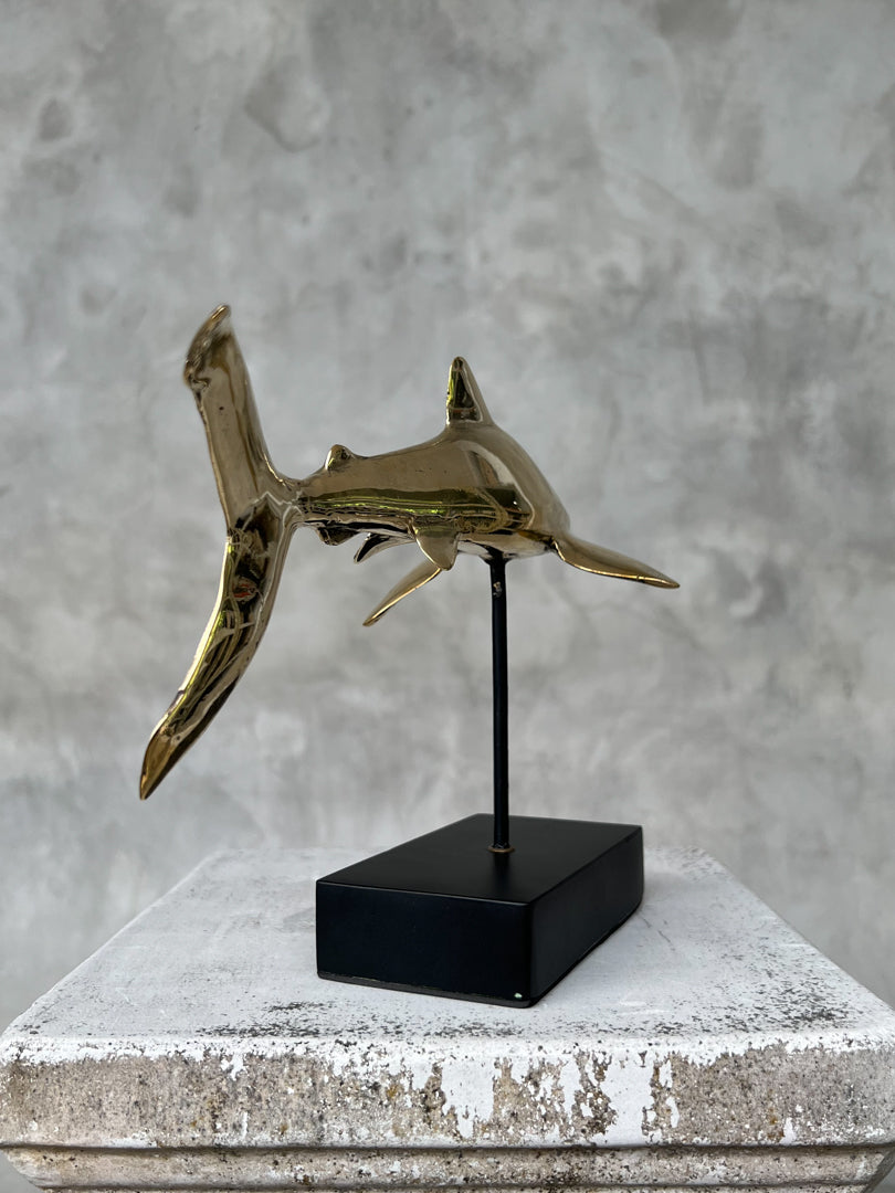 Great White Shart Polished Bronze on Stand