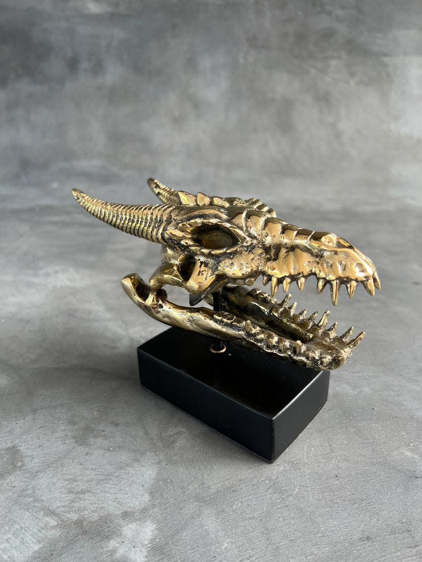 Dragon Skull Small