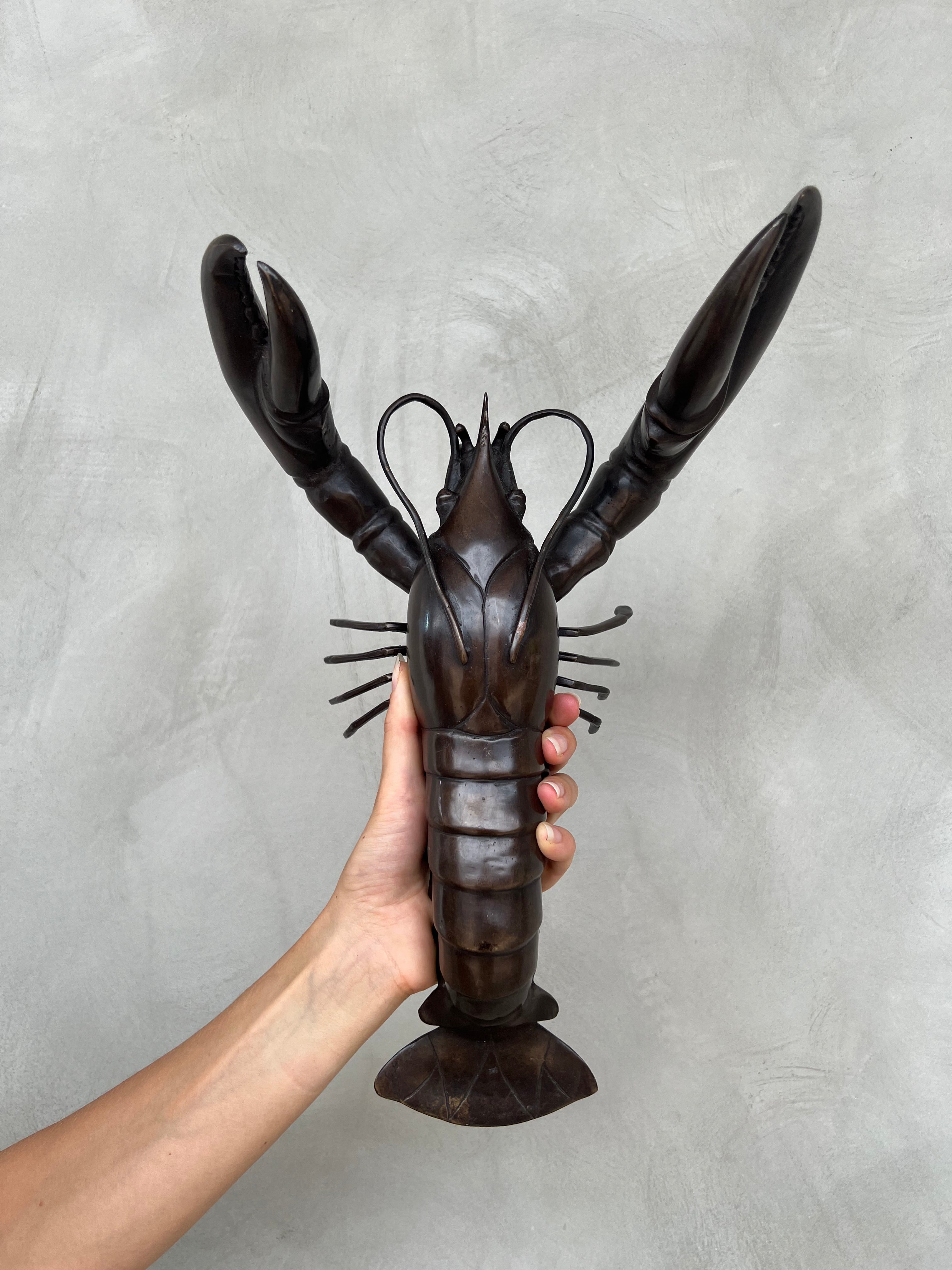 Lobster - Medium