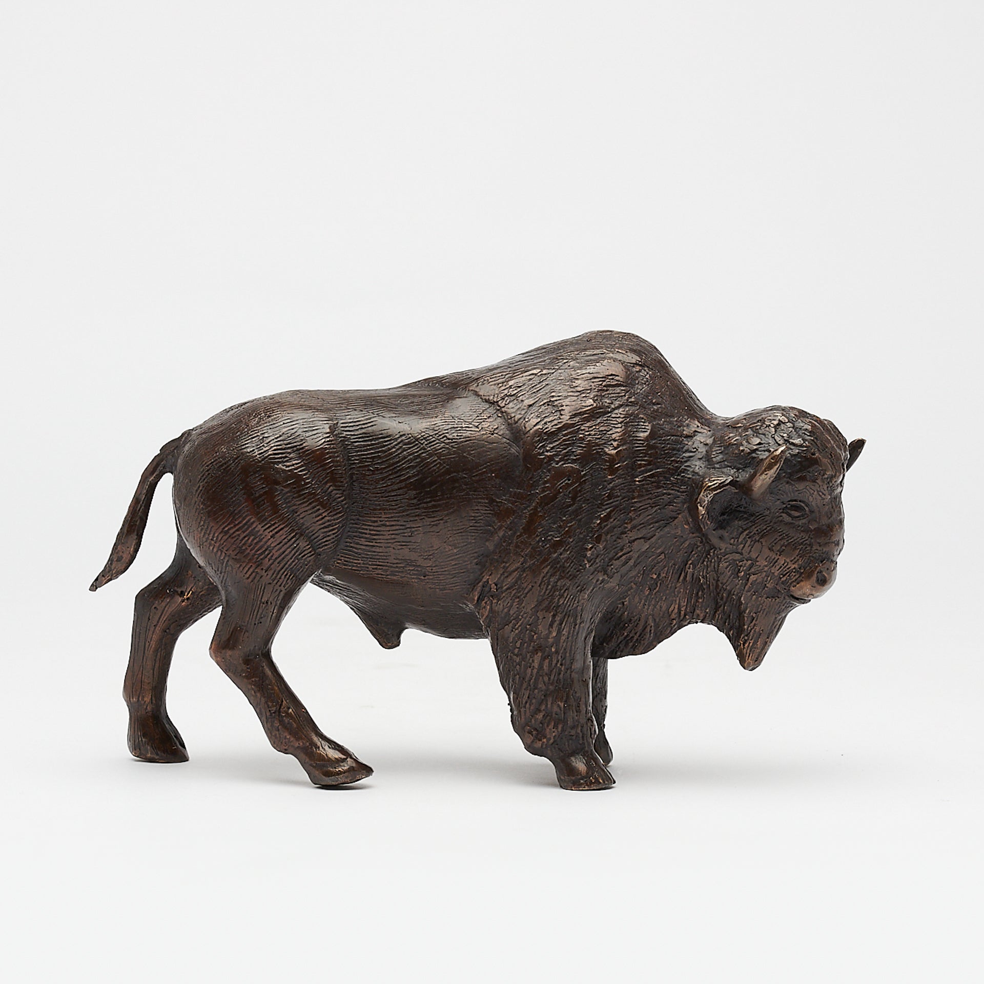 Bison Heavy Bronze Dark