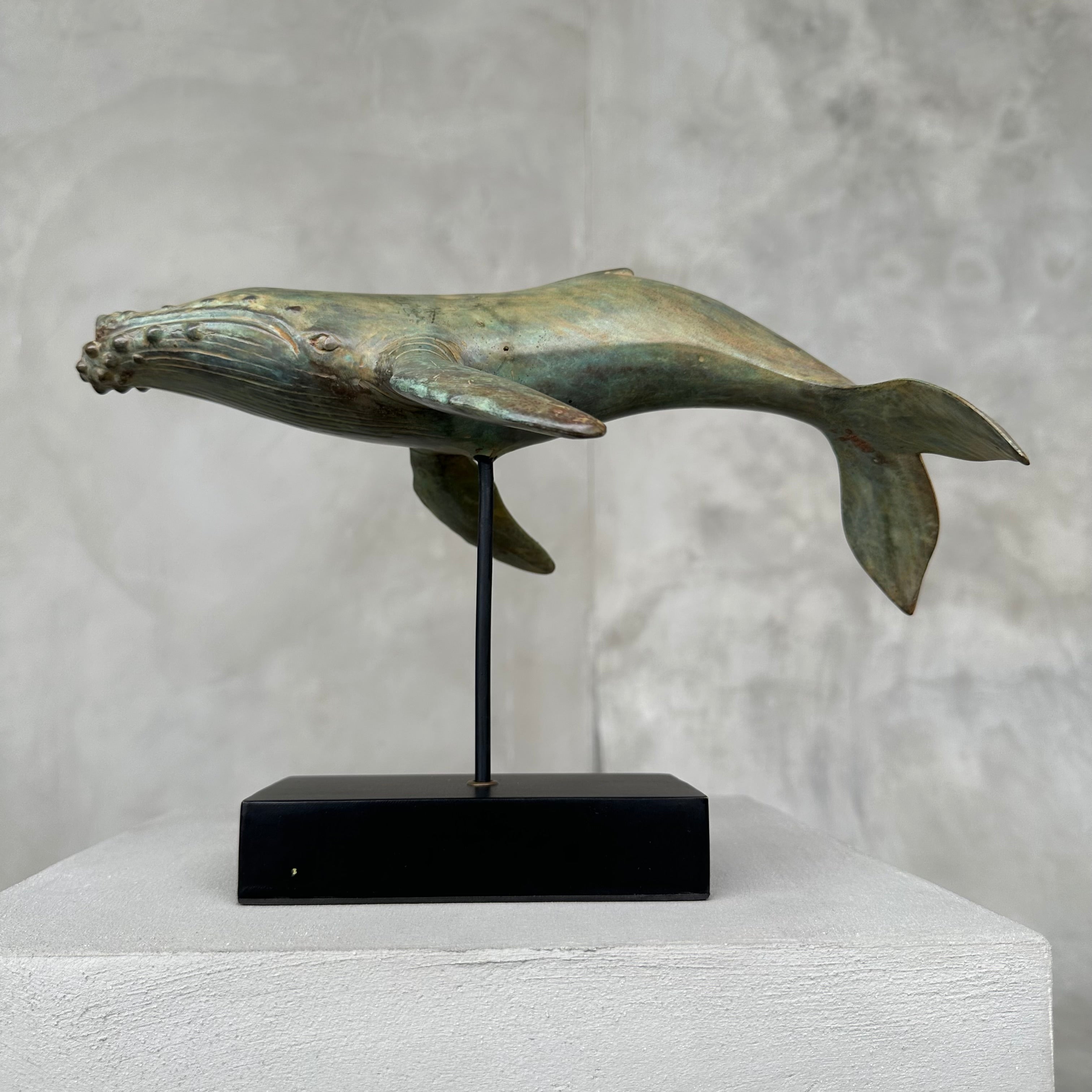 Blue Whale ATR Bronze