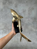 Great White Shart Polished Bronze on Stand