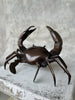 Crab Brown Bronze - S