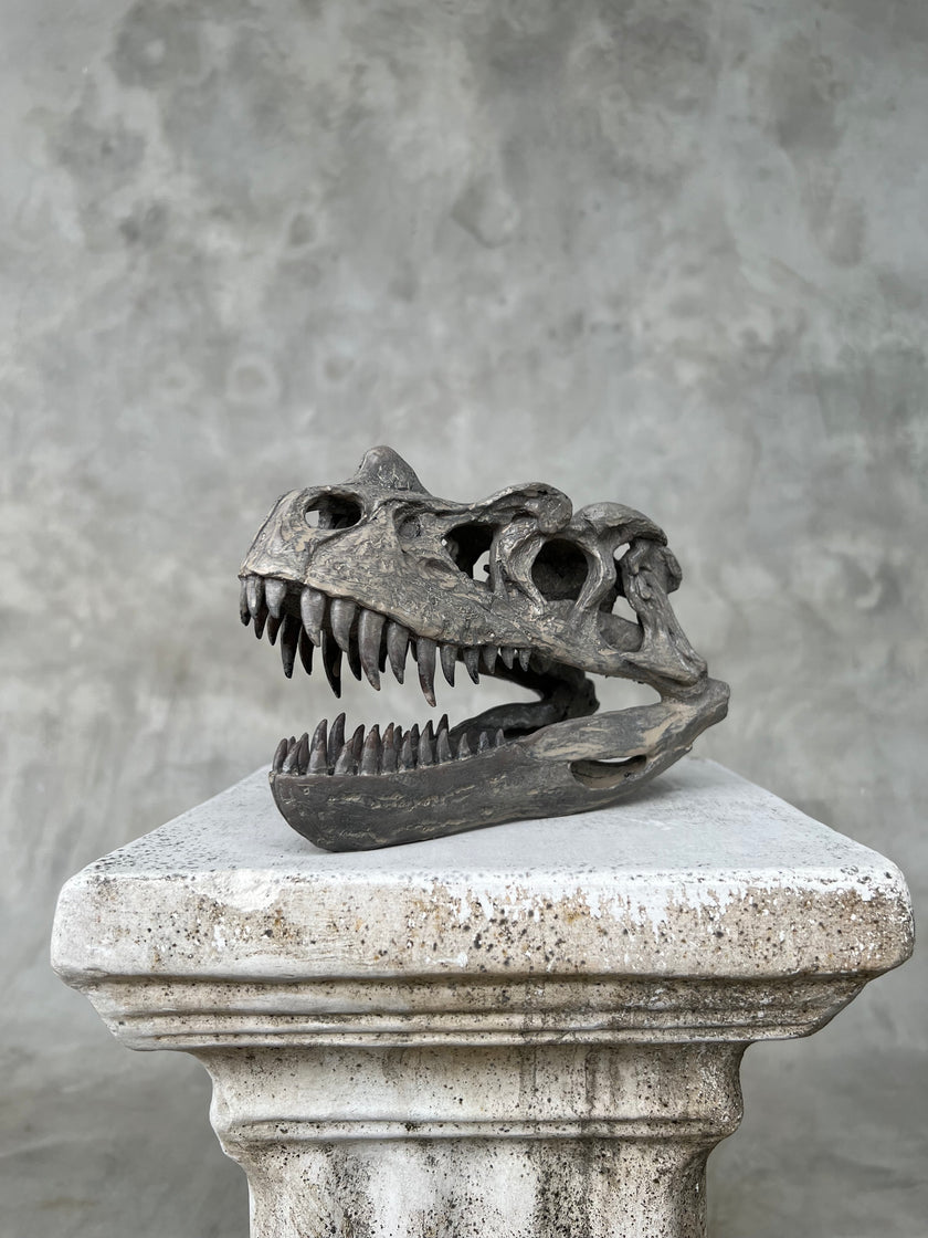 Ceratosaurus Grey - RS009