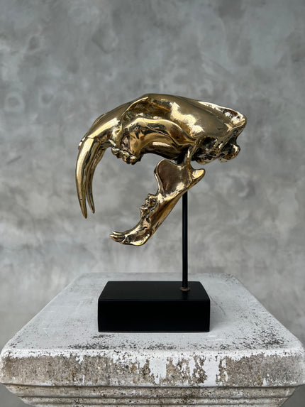 Saber Tooth TIger Polished Bronze Small