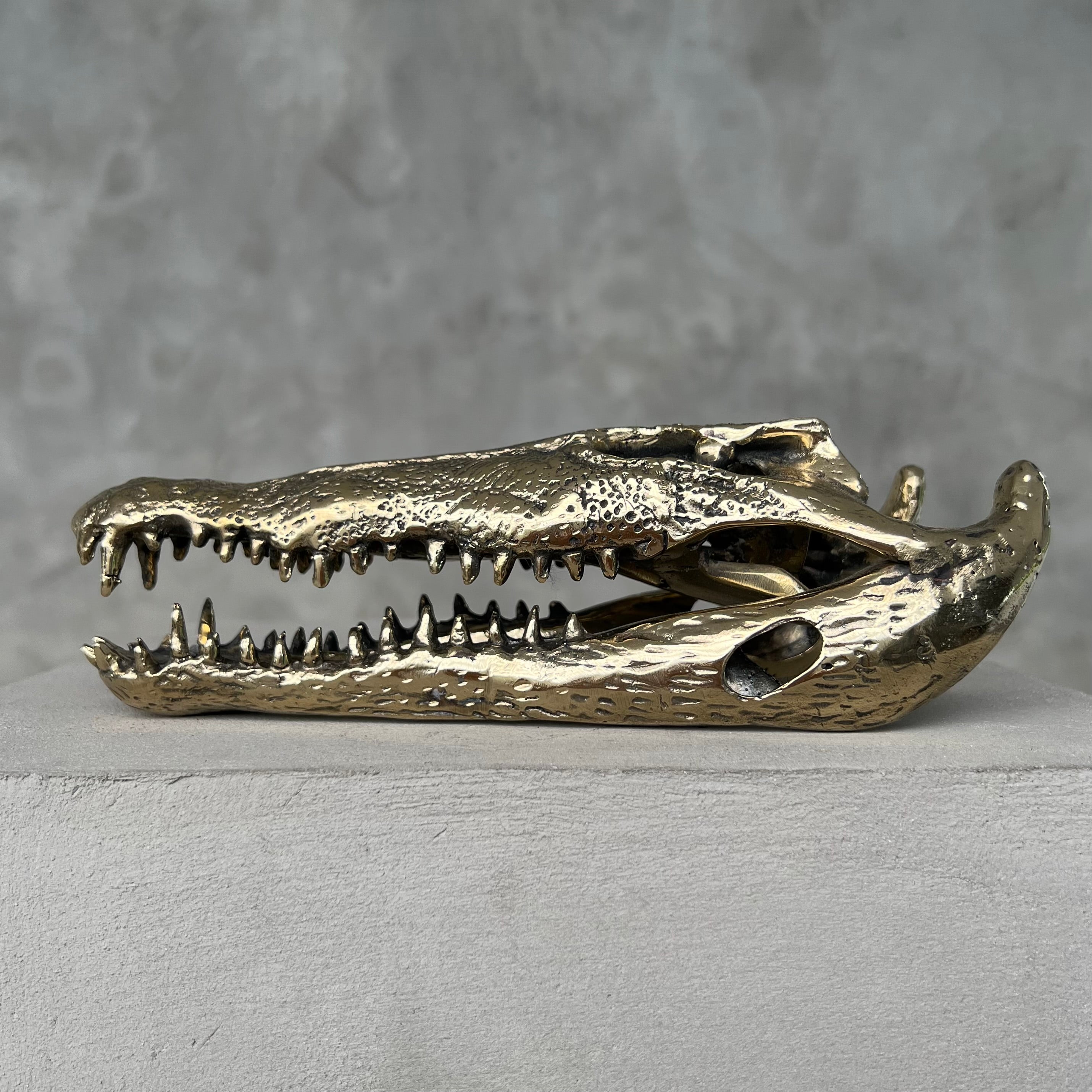 Crocodile Polished Bronze - S