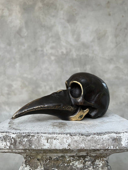 Mythical Dayak Bird Head Bronze with Polished Accents