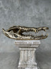 Crocodile Skull without Base Polished Bronze Large