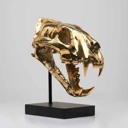 Tiger Skull Sumatran Polished Bronze