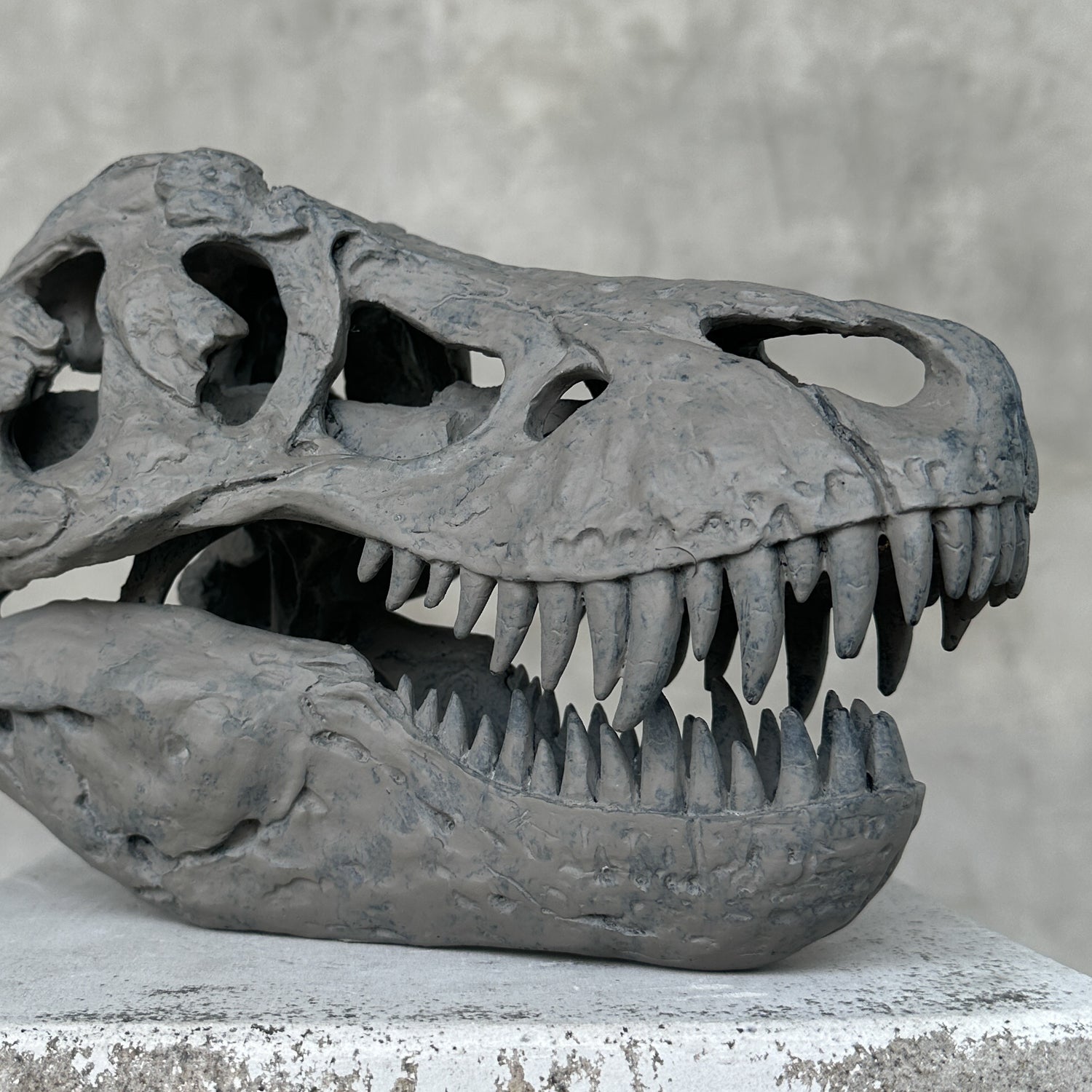 T-Rex Grey - RS006
