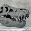 T-Rex Grey - RS006