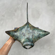 Manta Ray Aged Patinated Bronze - Medium