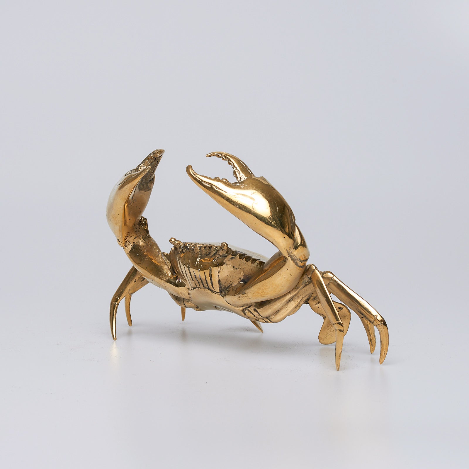 Crab Polished Bronze - Small