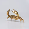 Crab Polished Bronze - Small