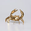 Crab Polished Bronze - Small