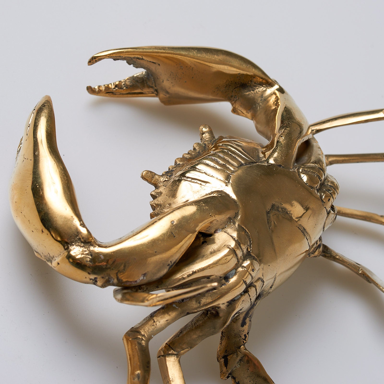 Crab Polished Bronze - Small