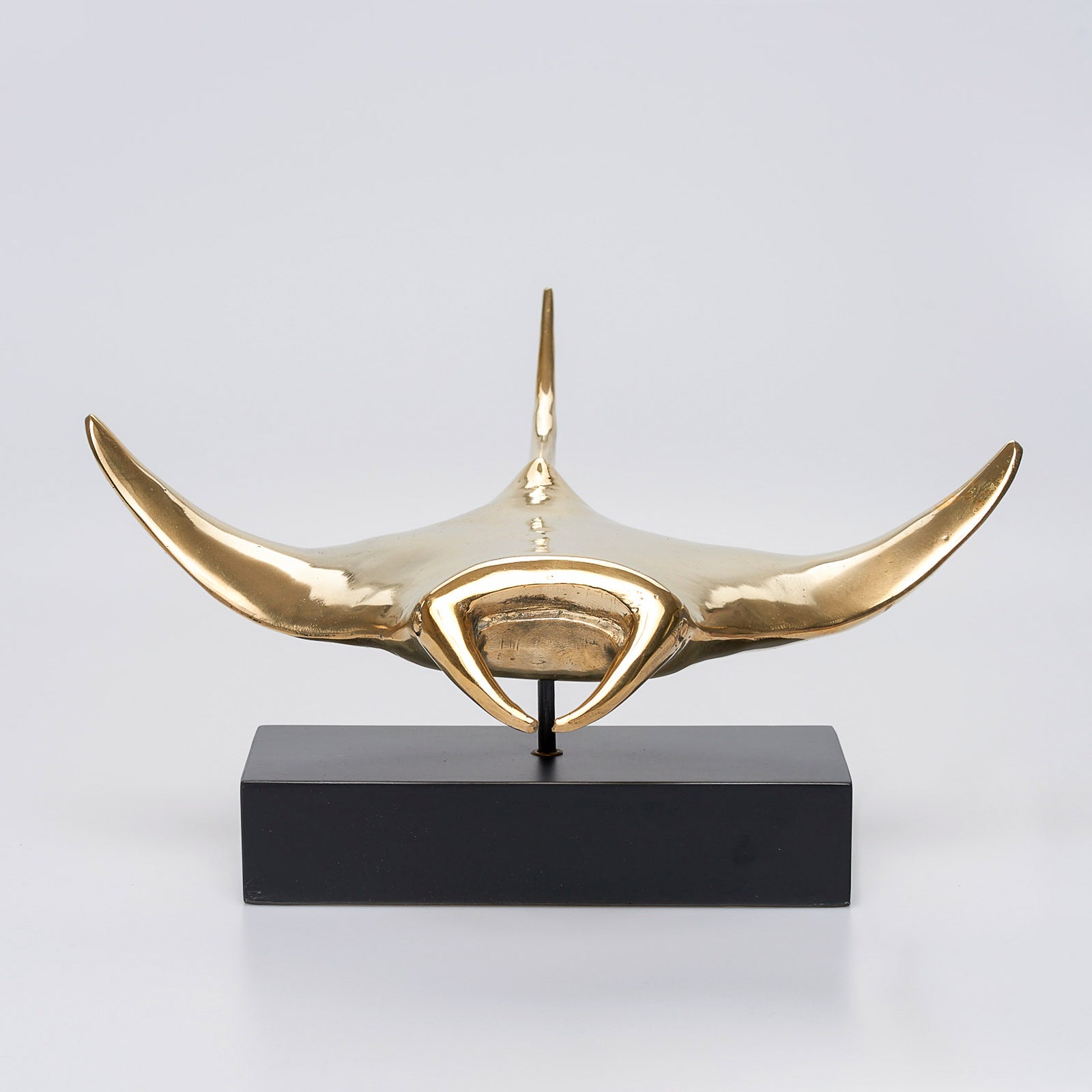 Manta Ray Polished  Bronze - Extra Large