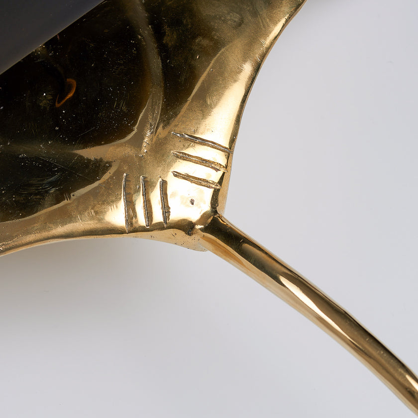 Manta Ray Polished  Bronze - Extra Large