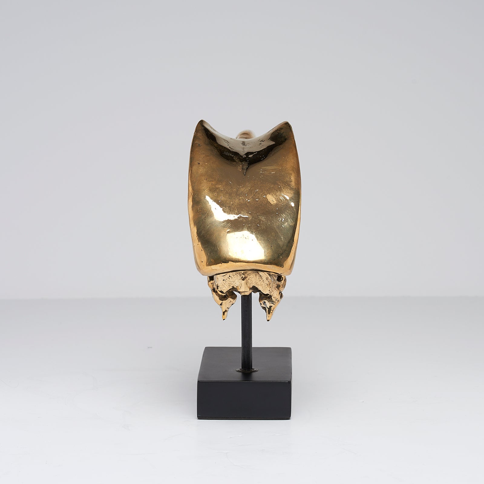 Great Hornbill Polished Bronze