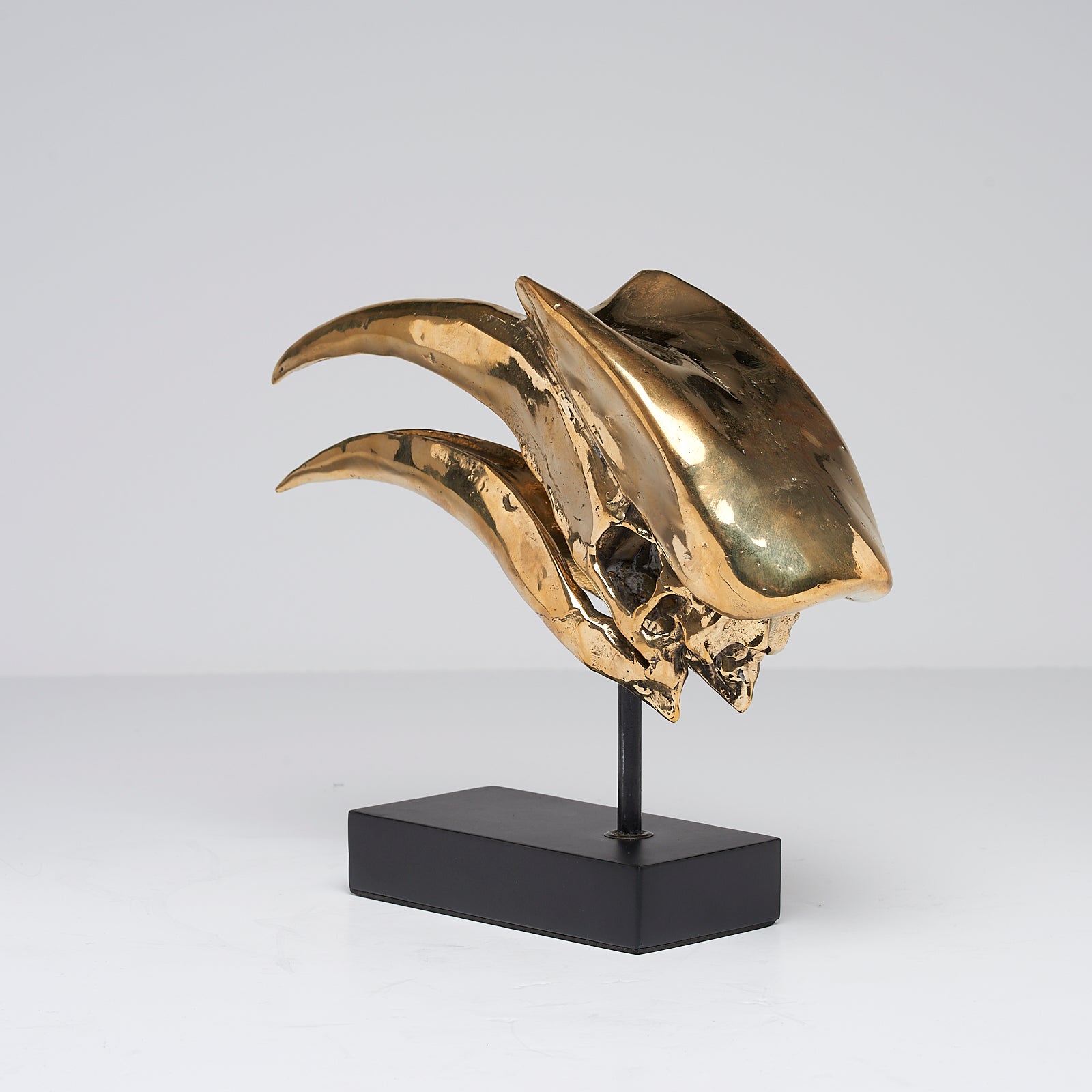 Great Hornbill Polished Bronze