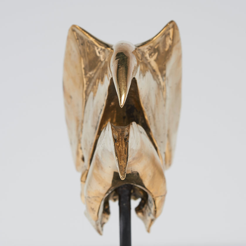 Great Hornbill Polished Bronze