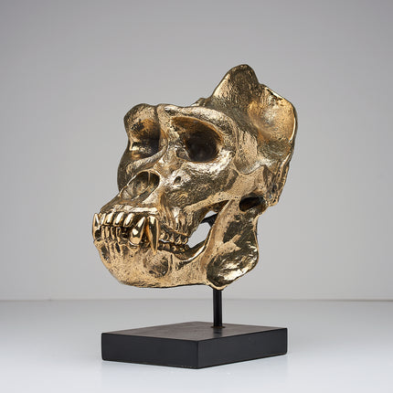 Gorilla Skull Western Lowland Polished Thin Stand