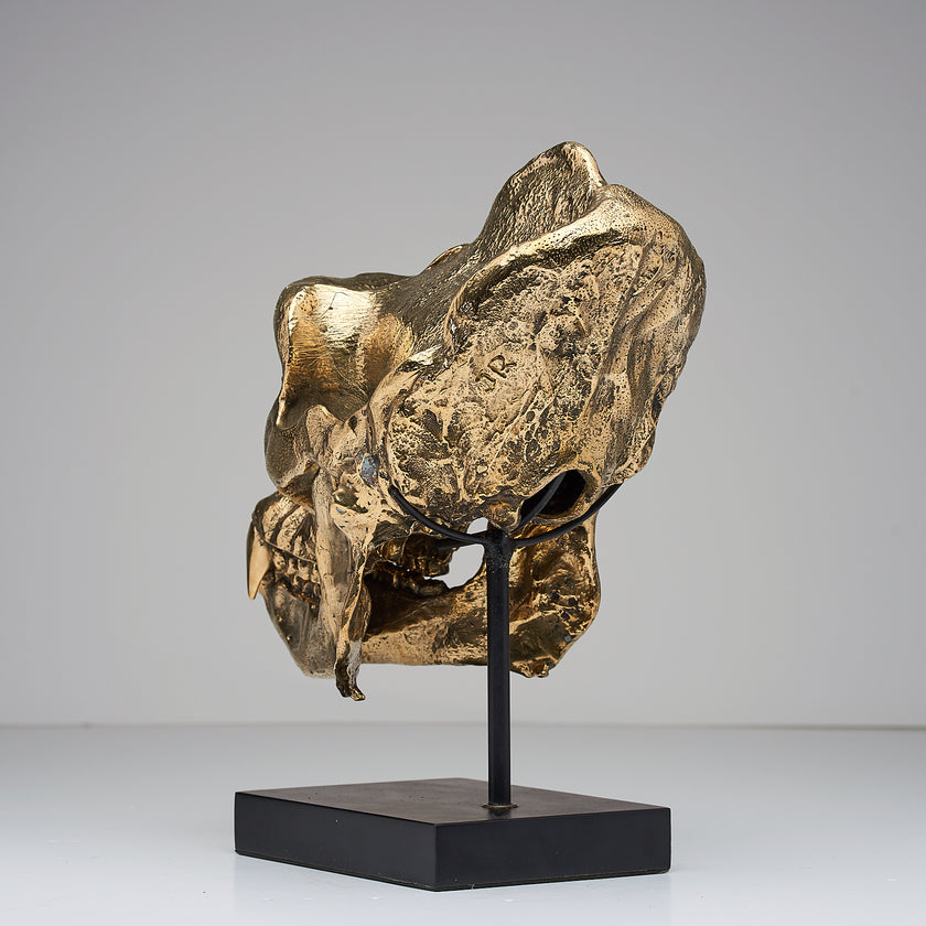 Gorilla Skull Western Lowland Polished Thin Stand