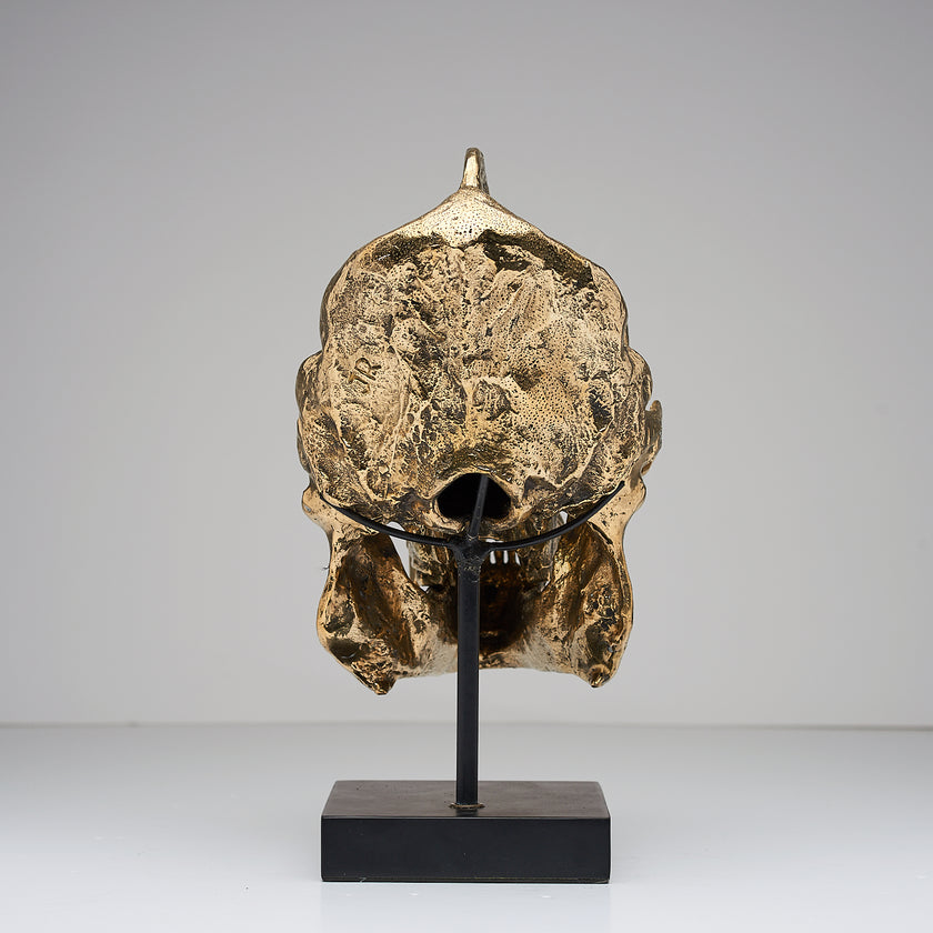 Gorilla Skull Western Lowland Polished Thin Stand