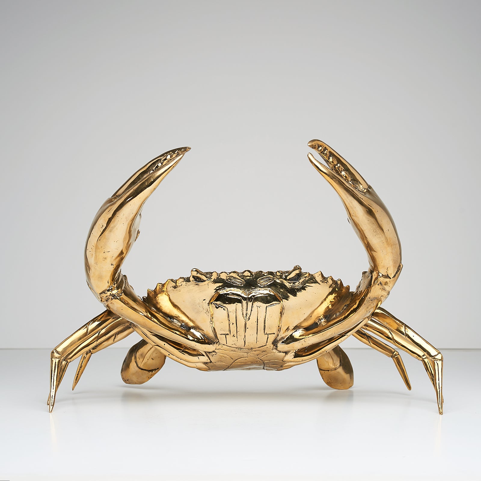 Crab Polished Bronze extra Large