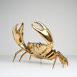 Crab Polished Bronze extra Large