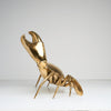 Crab Polished Bronze extra Large