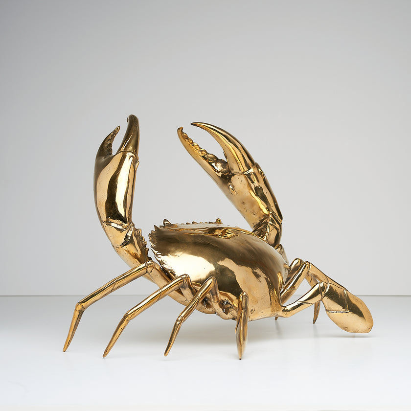 Crab Polished Bronze extra Large
