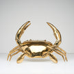 Crab Polished Bronze extra Large