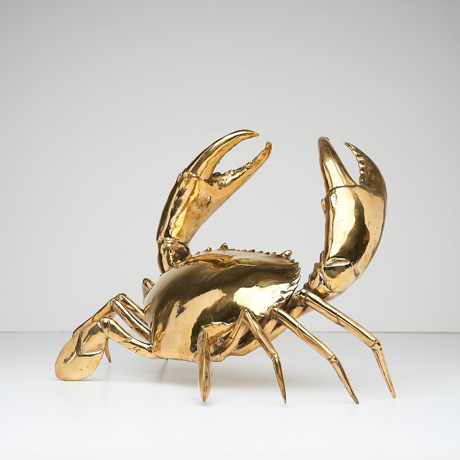 Crab Polished Bronze extra Large