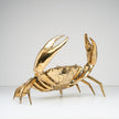 Crab Polished Bronze extra Large