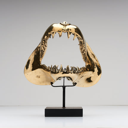 Shark Mako Jaw Polished Bronze