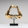 Shark Mako Jaw Polished Bronze