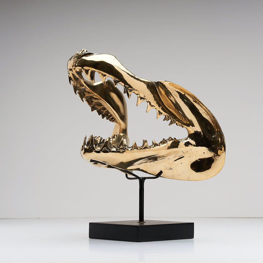 Shark Mako Jaw Polished Bronze