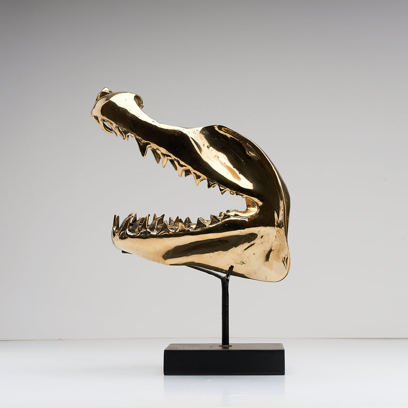 Shark Mako Jaw Polished Bronze