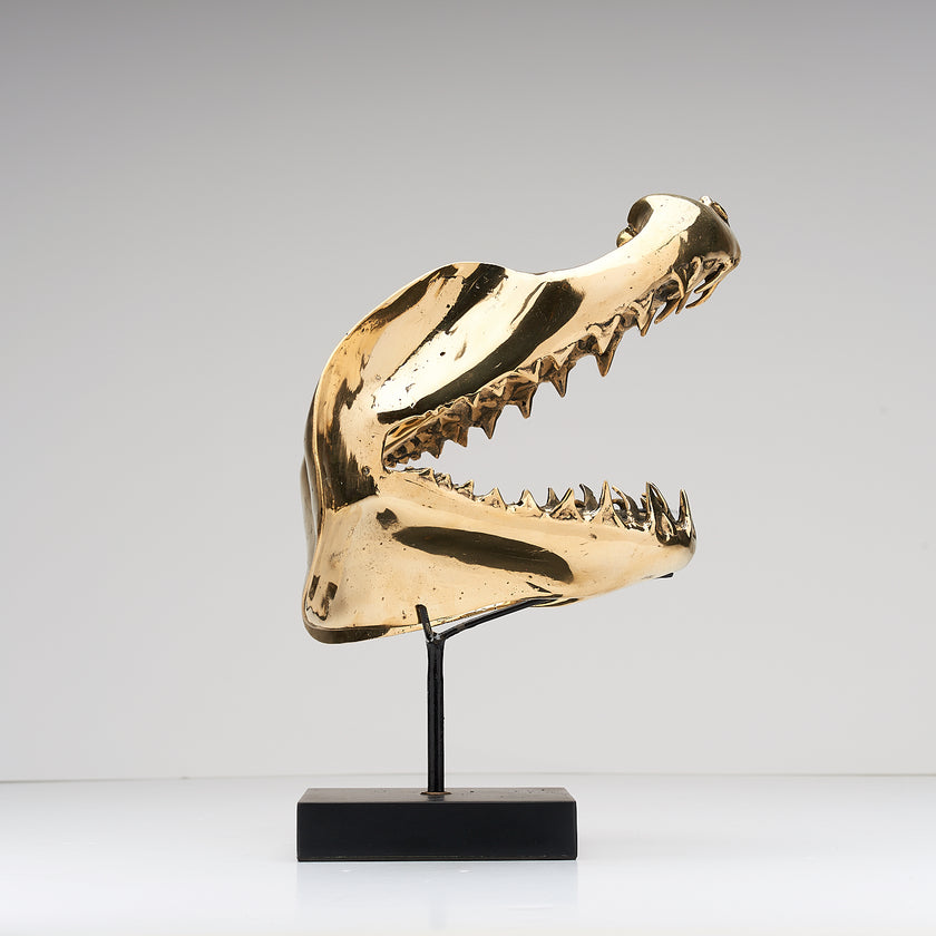 Shark Mako Jaw Polished Bronze