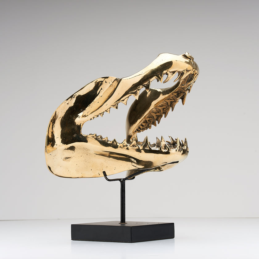 Shark Mako Jaw Polished Bronze