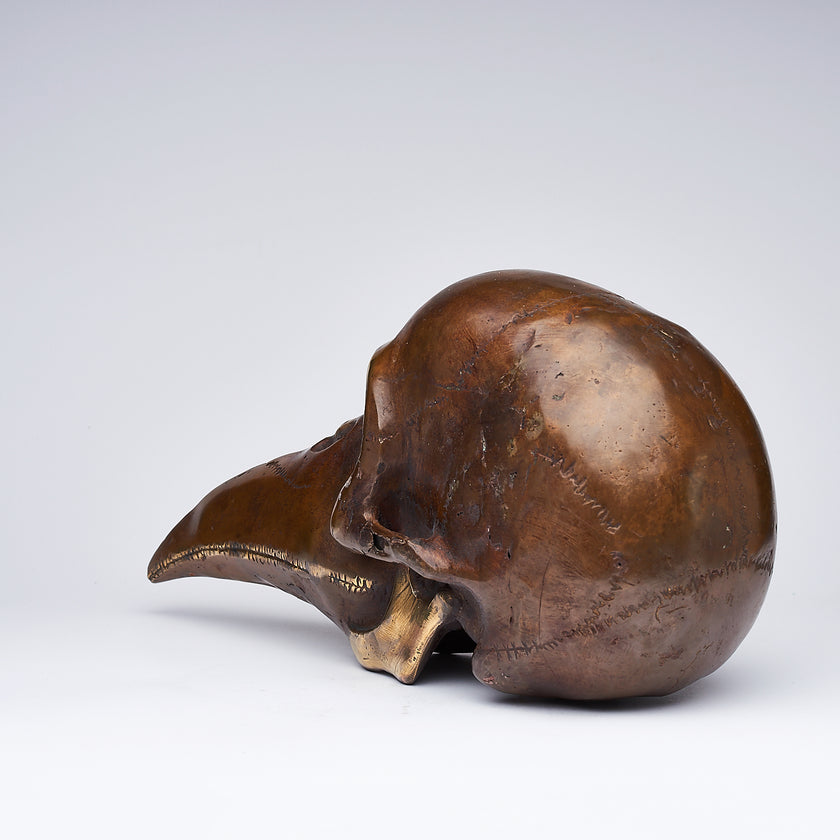 Mythical Dayak Bird Head Light Bronze M