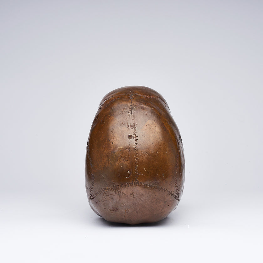 Mythical Dayak Bird Head Light Bronze M