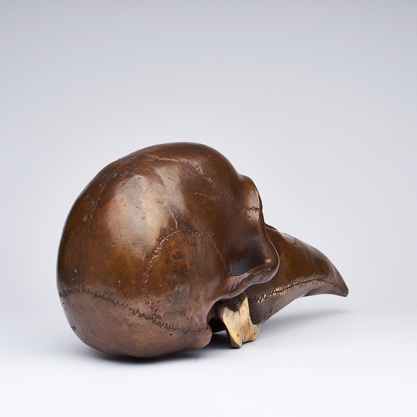 Mythical Dayak Bird Head Light Bronze M